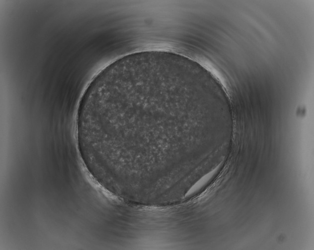 X0000093751088200711061042