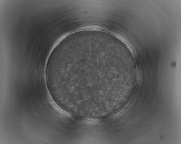 X0000093751090200711061042