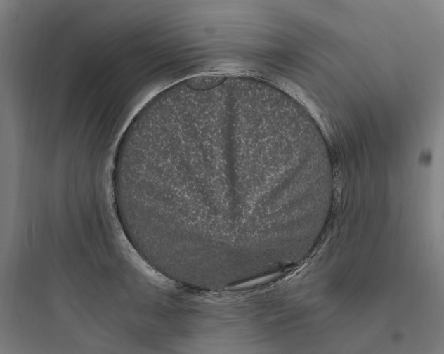 X0000093751091200711061042