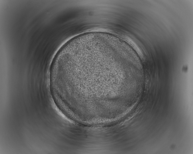 X0000093751092200711061042