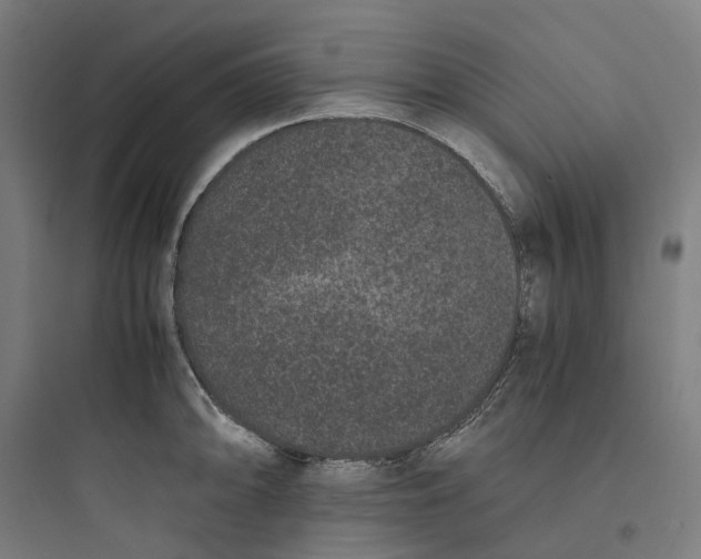X0000093751094200711061042