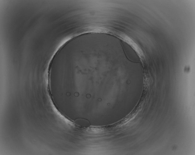 X0000093751095200711061042
