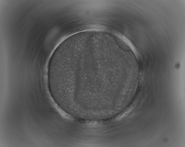 X0000093751099200711061042