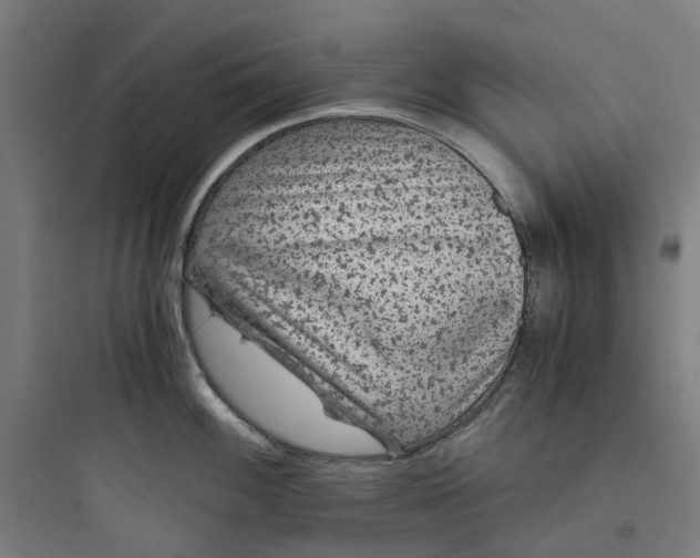 X0000093751100200711061042