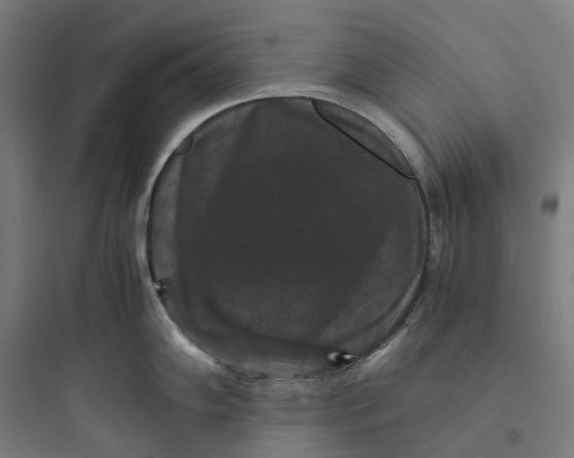 X0000093751102200711061042