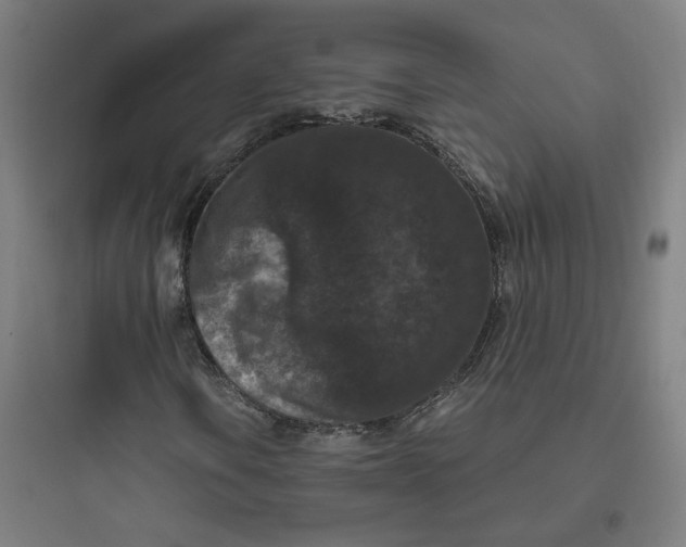 X0000093751106200711061041