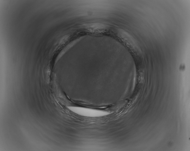 X0000093751108200711061041