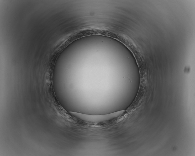 X0000093751110200711061041