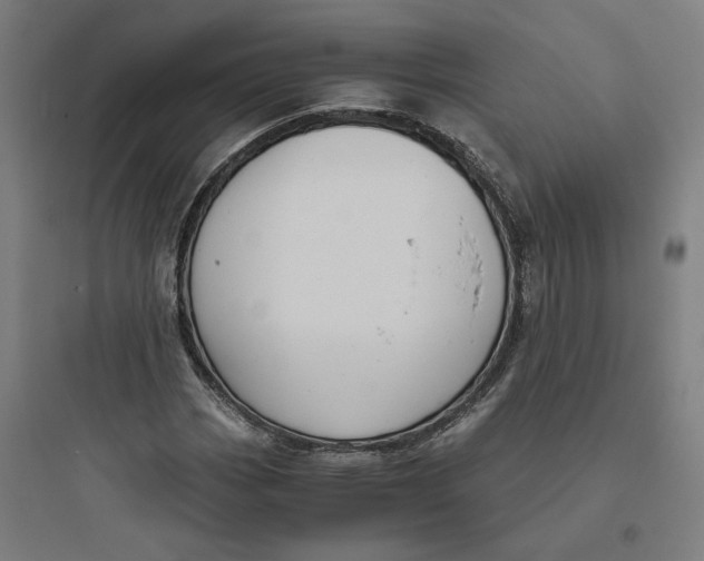 X0000093751113200711061041