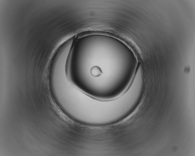 X0000093751114200711061041
