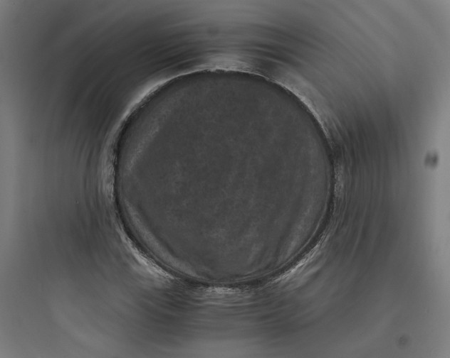 X0000093751115200711061041