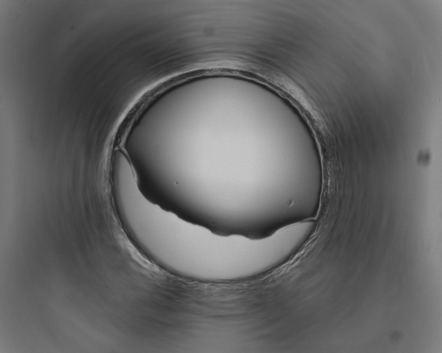 X0000093751116200711061042