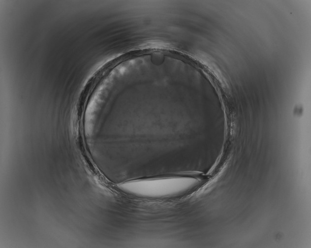 X0000093751117200711061042