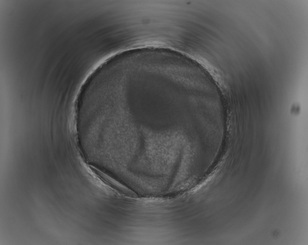 X0000093751118200711061042