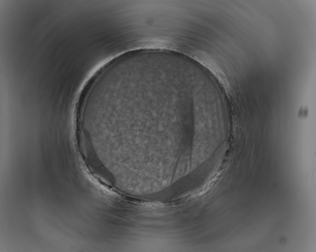 X0000093751120200711061042