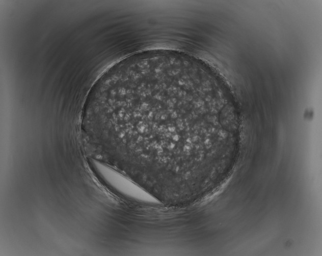 X0000093751121200711061042