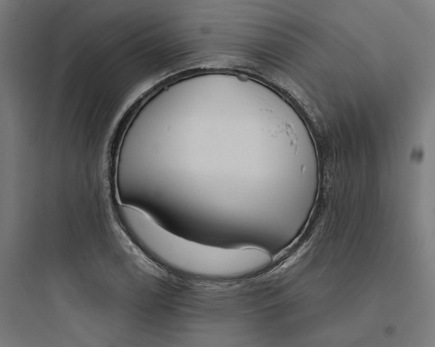 X0000093751122200711061042