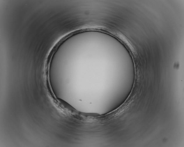 X0000093751124200711061042