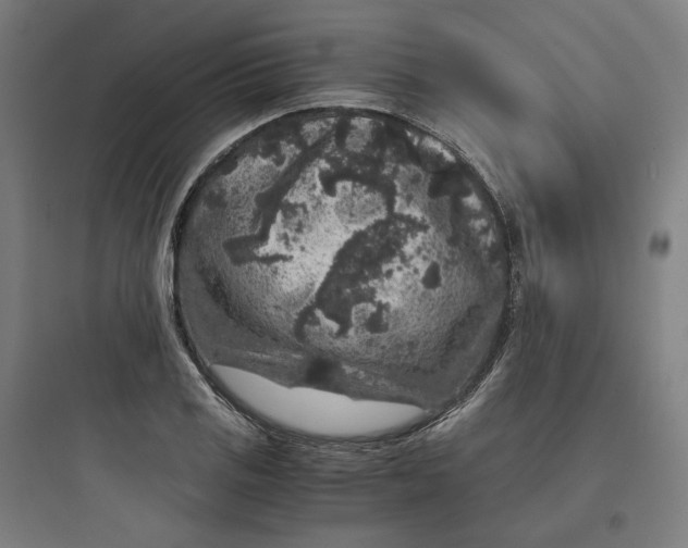 X0000093751125200711061042