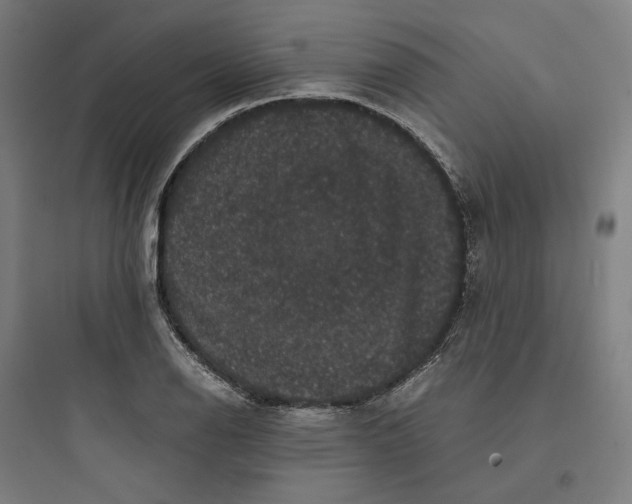 X0000093751126200711061042