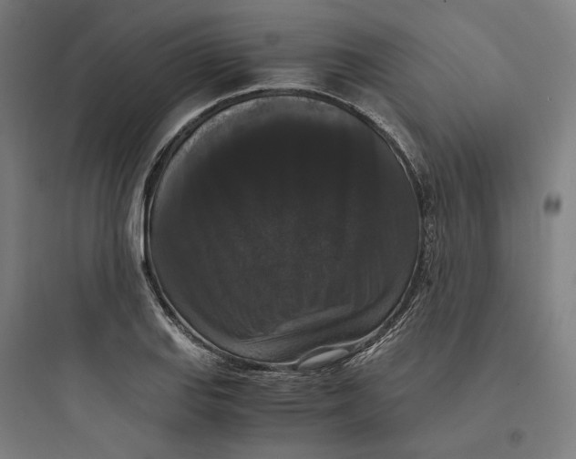 X0000093751127200711061042
