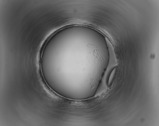 X0000093751128200711061042