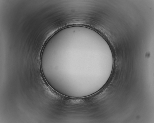 X0000093751129200711061042