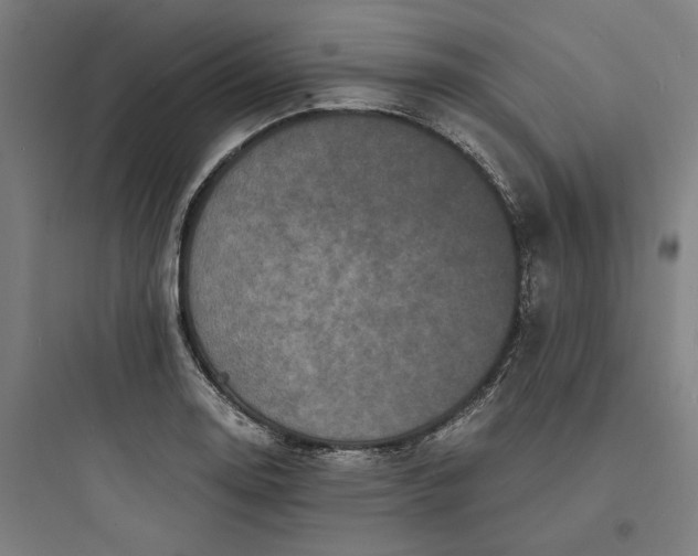 X0000093751130200711061042