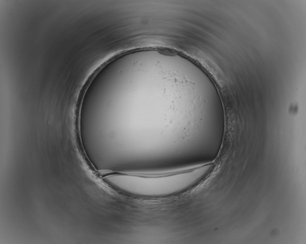 X0000093751134200711061042