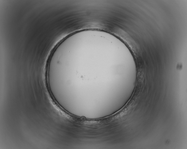 X0000093751135200711061042