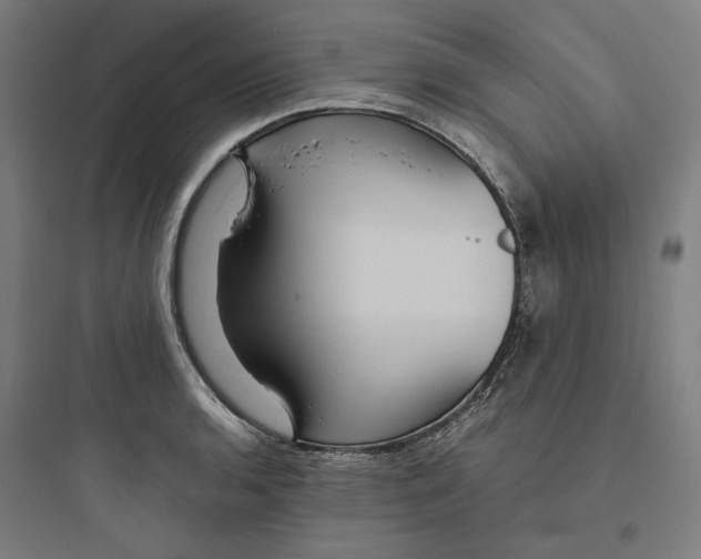 X0000093751136200711061042