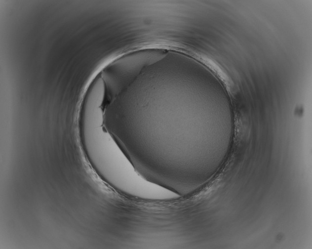 X0000093751138200711061042