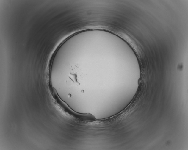 X0000093751140200711061042