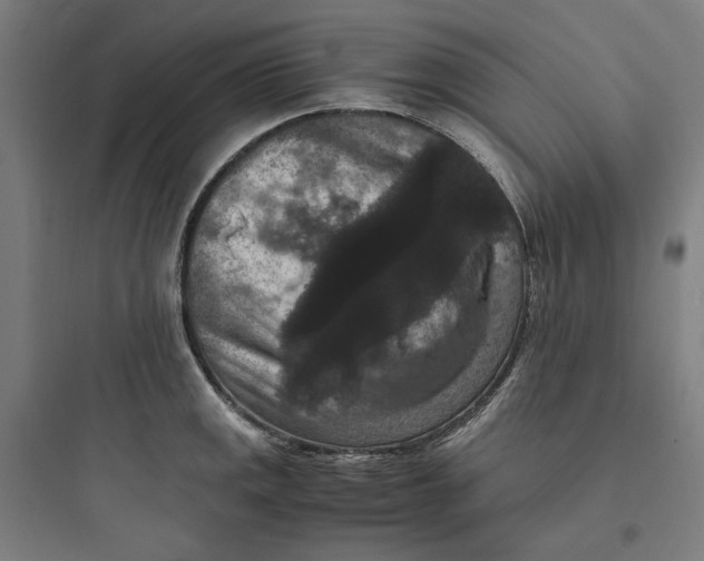 X0000093751141200711061042