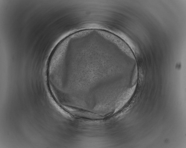 X0000093751142200711061042