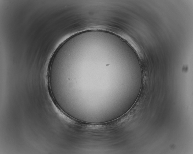 X0000093751143200711061042