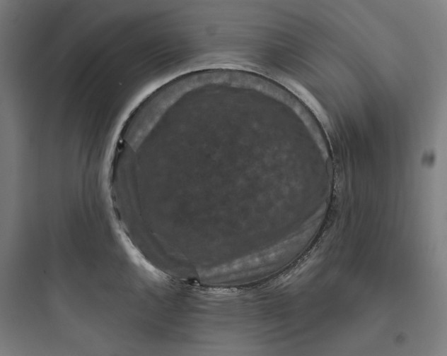 X0000093751144200711061042
