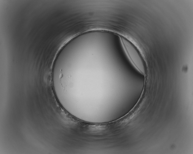 X0000093751145200711061042