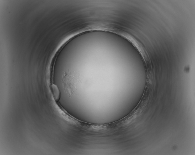 X0000093751147200711061042