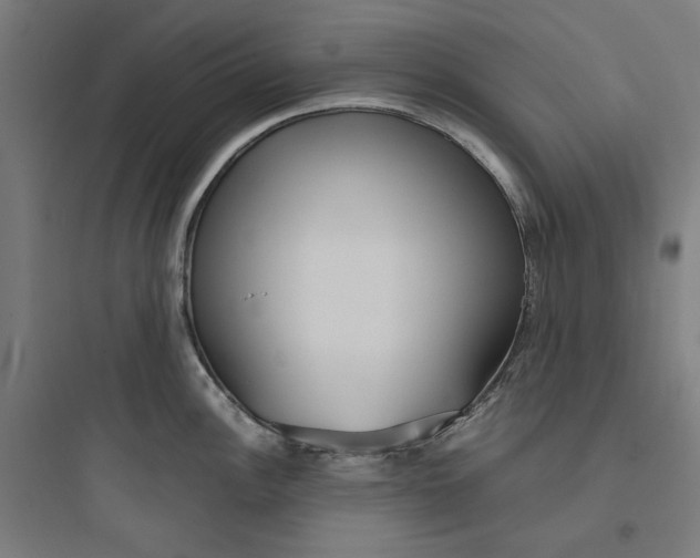 X0000093751148200711061042