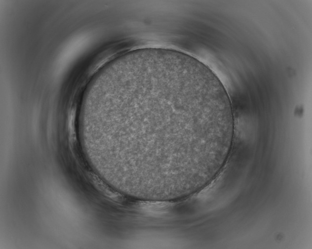 X0000093751150200711061042