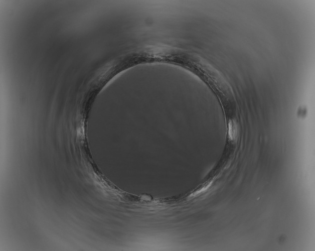 X0000093751155200711061041