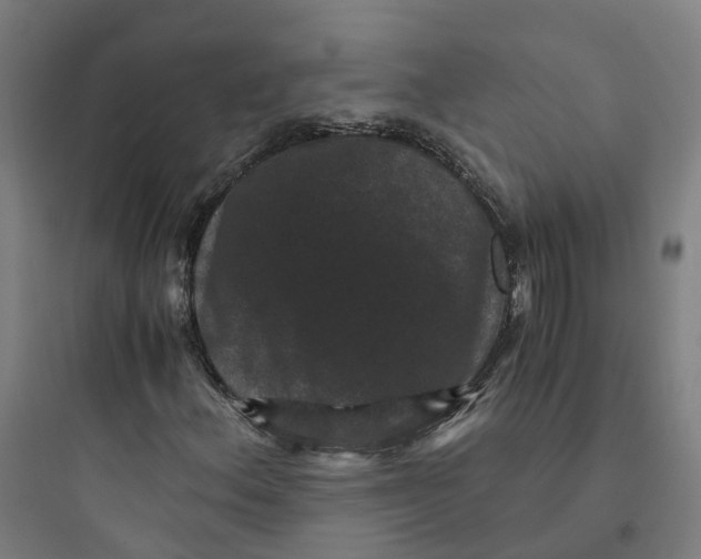 X0000093751156200711061041