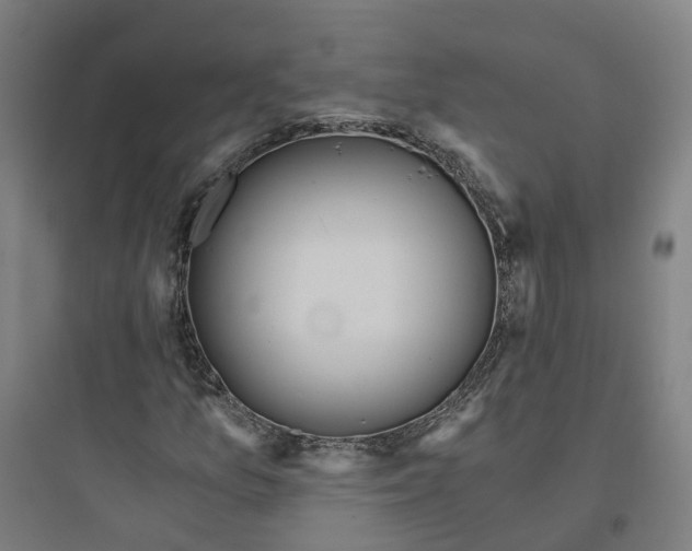 X0000093751157200711061041