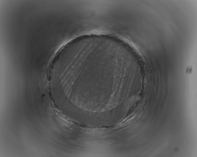 X0000093751160200711061041