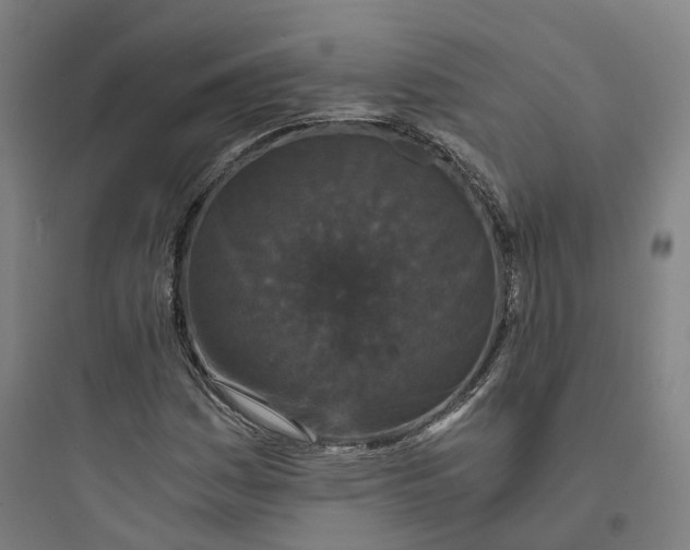 X0000093751161200711061041