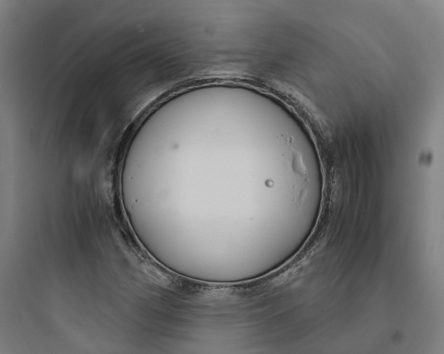 X0000093751162200711061041