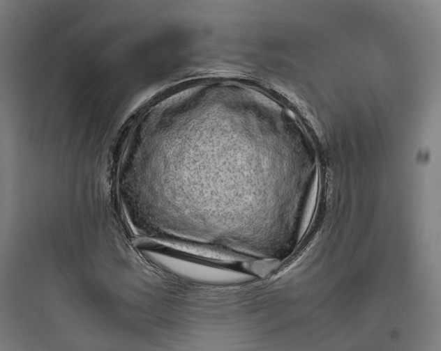 X0000093751163200711061041