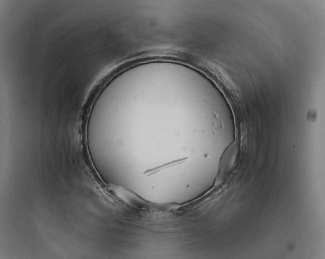 X0000093751164200711061041