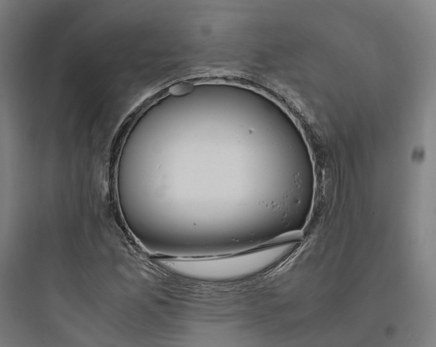 X0000093751165200711061041